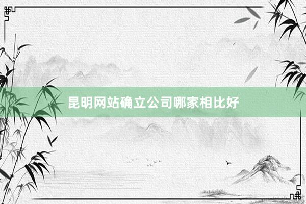 昆明网站确立公司哪家相比好